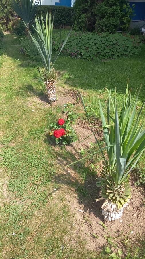 Pomorie Direkt Am Pool Apartman Kültér fotó